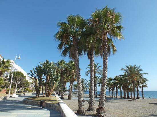 Apartamento Estudio En Chinasol Primera Linea Playa San Cristobal Almuñécar Екстериор снимка